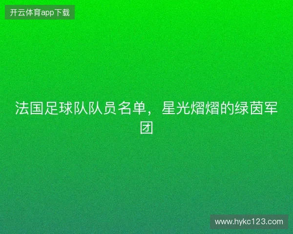 法国足球队队员名单，星光熠熠的绿茵军团